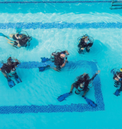 Holiday Mid Week Courses - PADI Open Water Diver (Deposit Only)